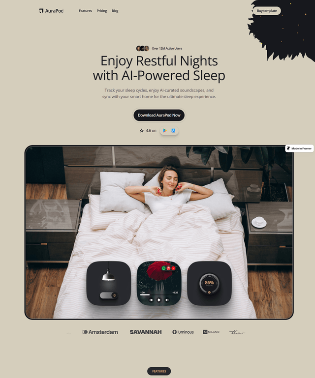 Website showcase 1